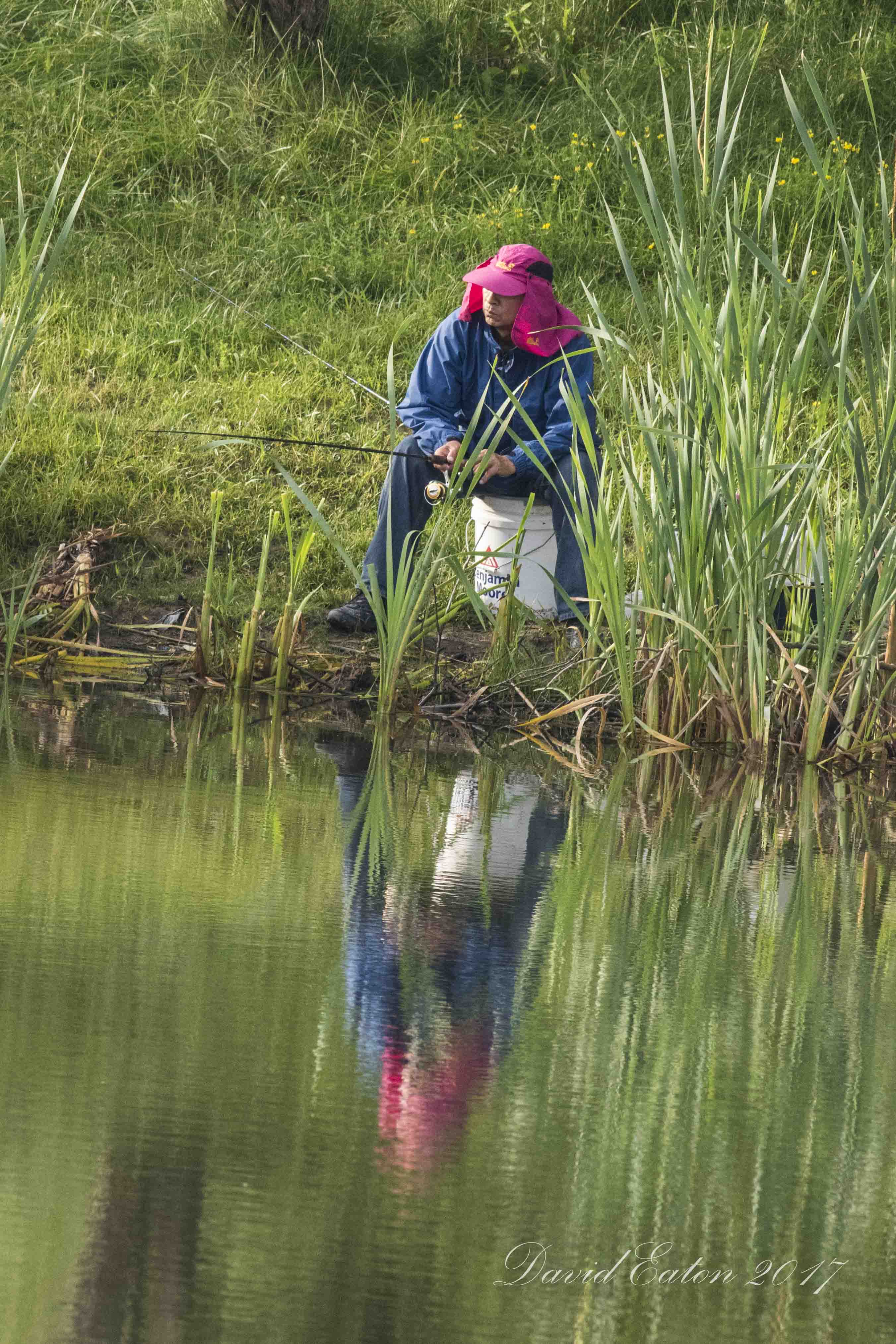 fising at the pond 