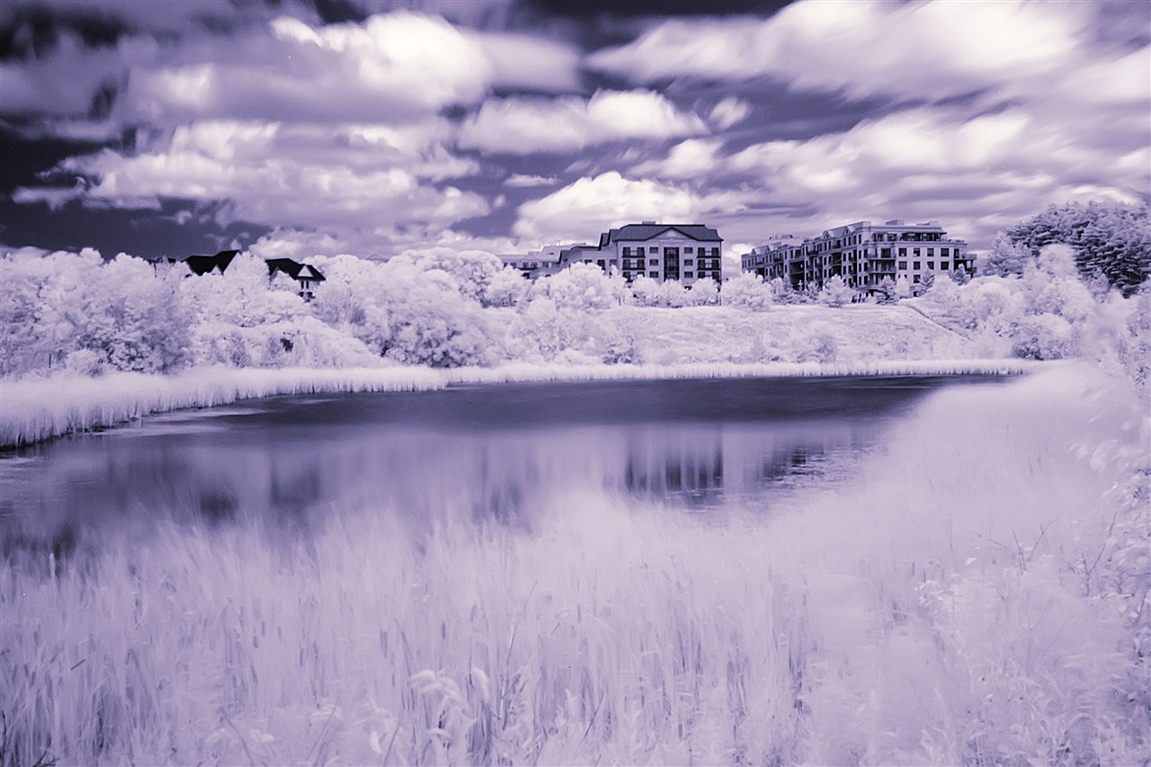 Hollandview Overlooking Pond