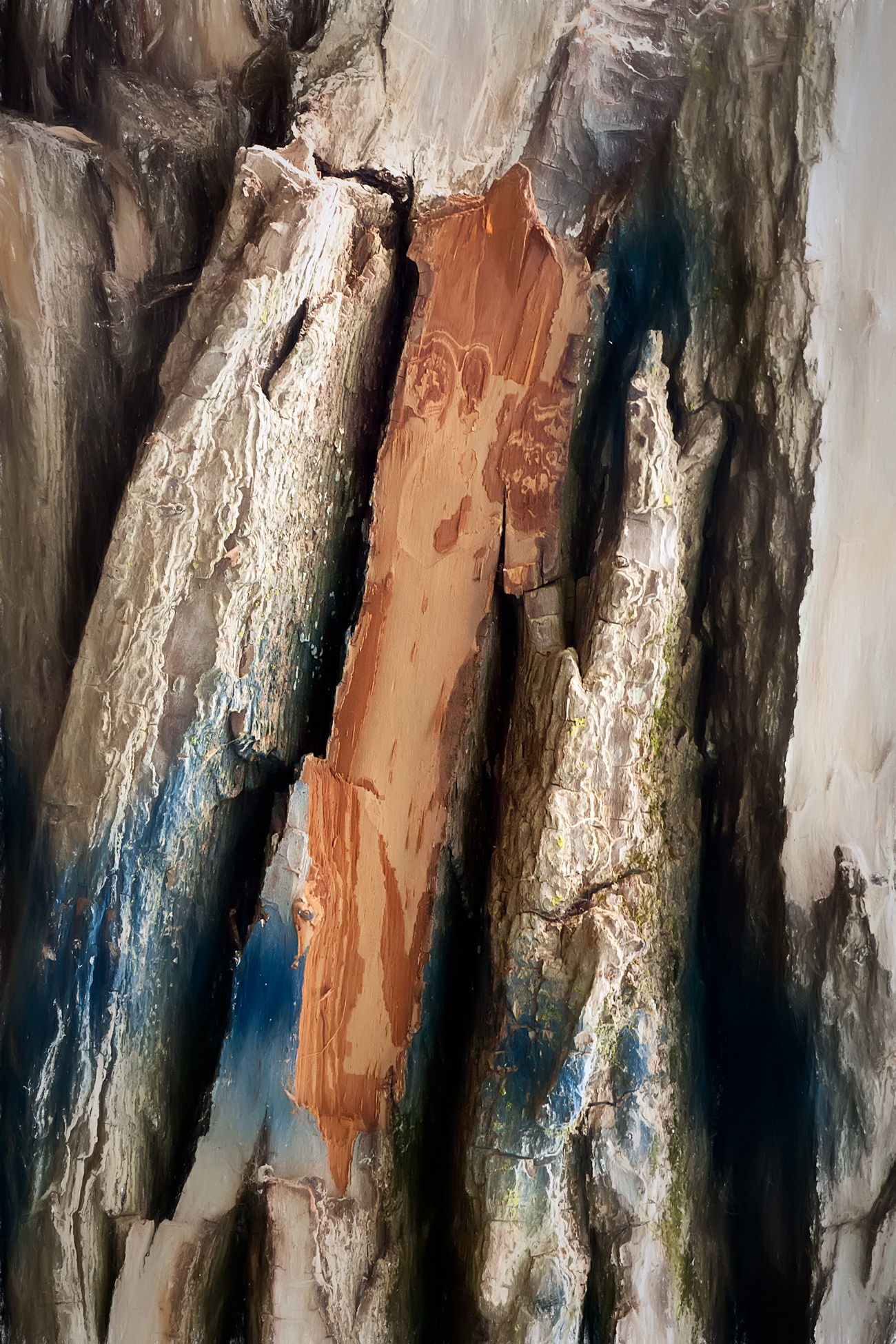 Wood Bark Art