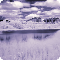 Hollandview Overlooking Pond