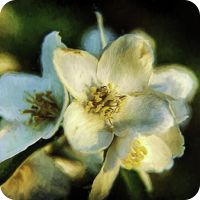 Painterly Flower